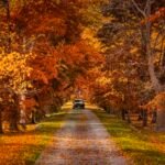 Best Day Trips from Toronto for 2025: Top 24 Escapes