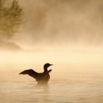 17 Best Things to Do in the Upper Peninsula, Michigan (2025 Guide)